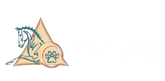 Dierfysiotherapie Nanda van Velzen